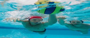 马术训练与比赛数据分析