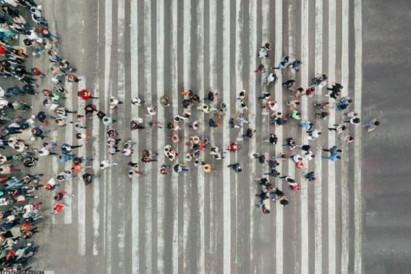不同地域体育培训的市场趋势与分析(图1)